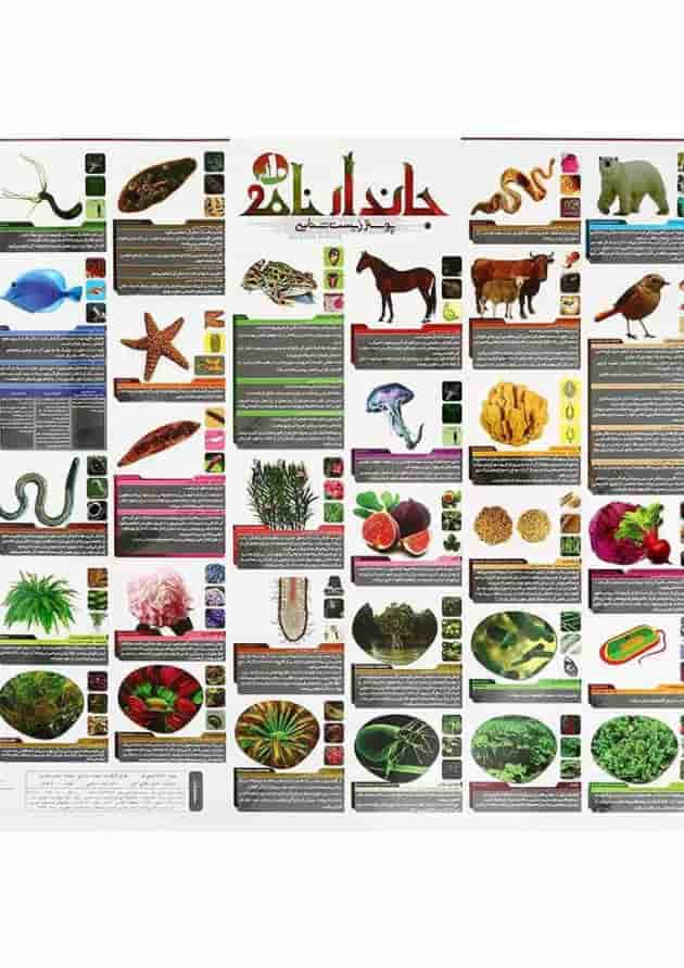 پوستر جاندار نامه زیست شناسی دهم تجربی سایز A2 انتشارات کتاب نارنجی جلد