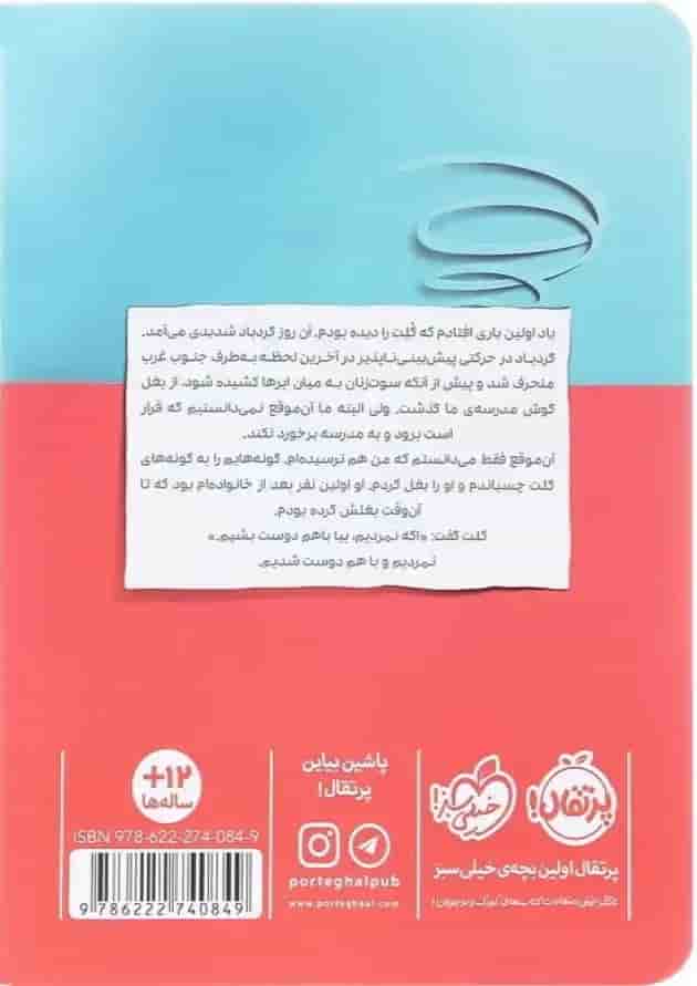 کتاب گردبادهای مغز من پشت جلد