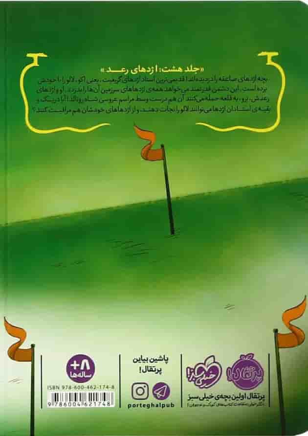 کتاب اژدهای رعد مجموعه استاد اژدها جلد 8 پشت جلد