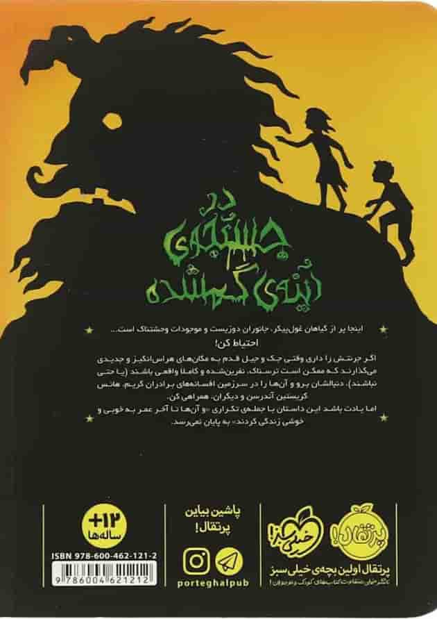 کتاب در جستجوی آینه گمشده مجموعه دوباره با برادران گریم پشت جلد