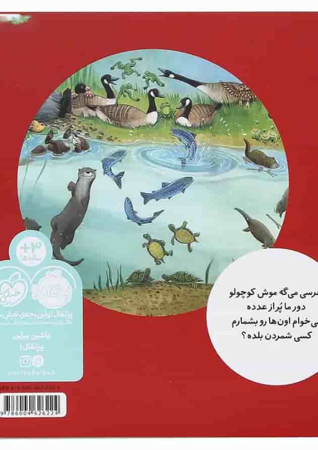 کتاب خرسی می تونه بشماره مجموعه خرسی و دوستاش پشت جلد
