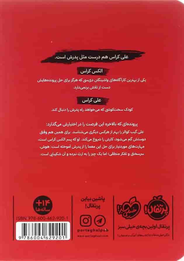 کتاب چند دقیقه بعد از خدا حافظی مجموعه کراس کارآگاه جوان جلد 1 پشت جلد