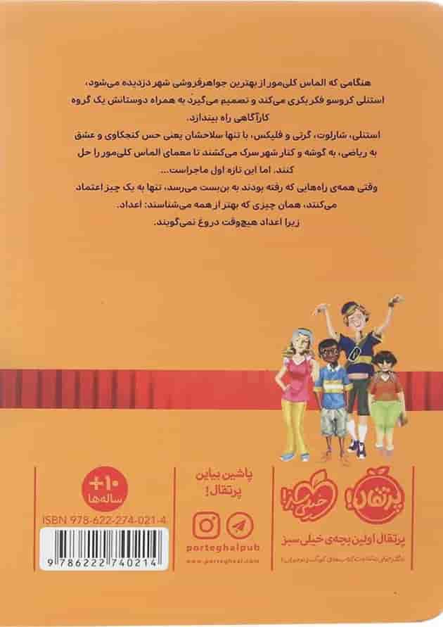 کتاب پرونده الماس گم شده مجموعه خوره های ریاضی کارآگاه می شوند جلد 1 پشت جلد