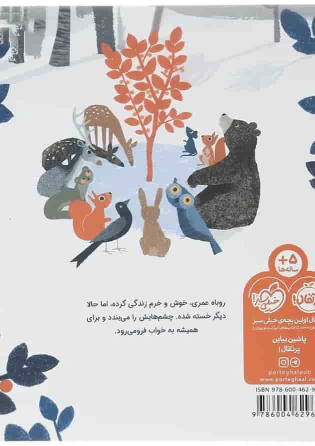 کتاب خواب نارنجی روباه پشت جلد