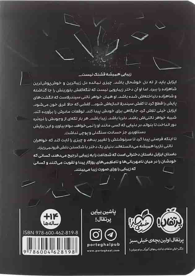 کتاب خواهر خوانده پشت جلد