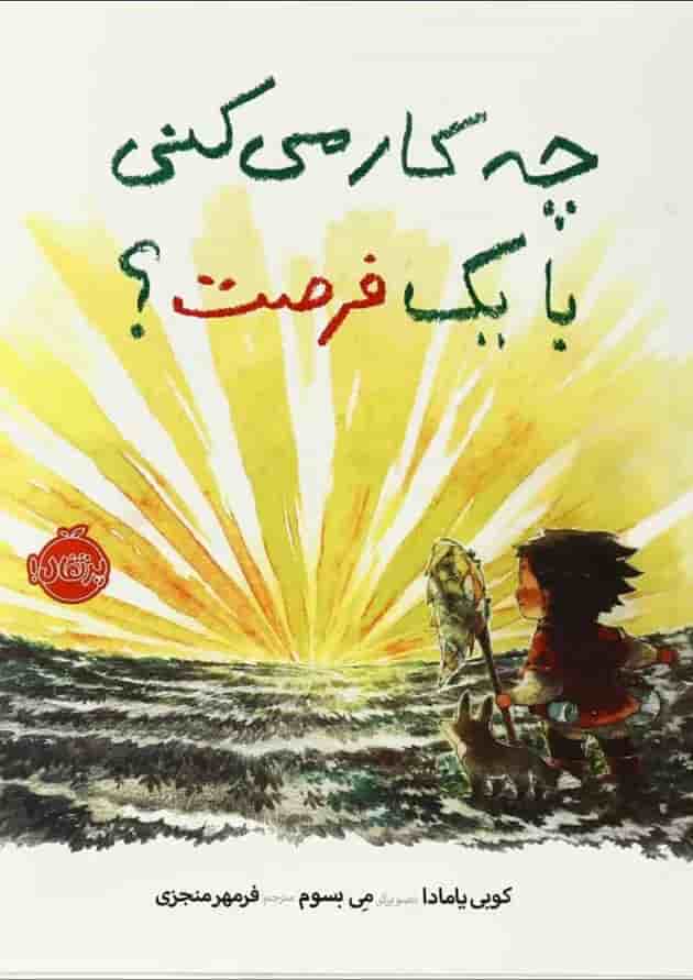 کتاب چکار می کنی با یک فرصت جلد