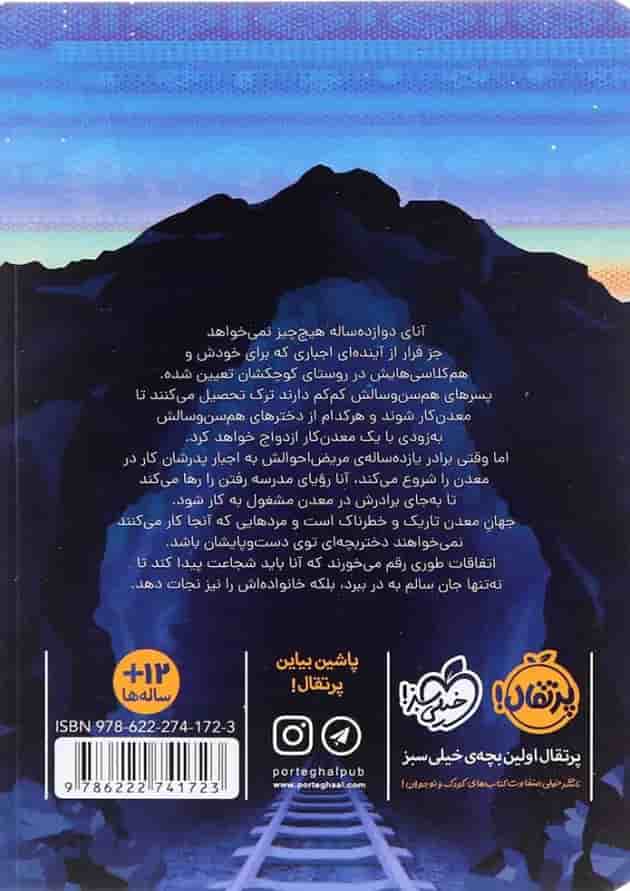 کتاب رؤیای سرزمین های پست پشت جلد
