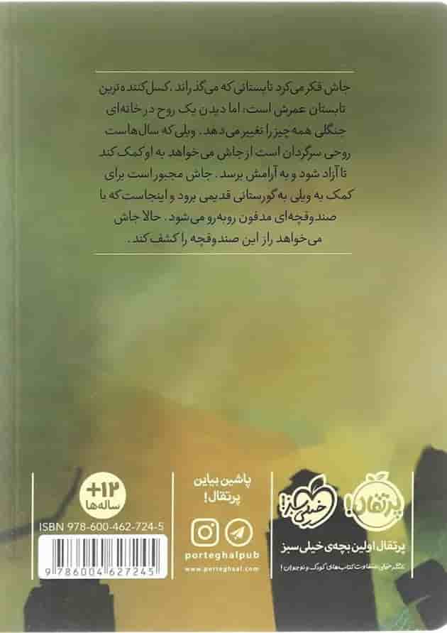 کتاب صندوقچه های مدفون پشت جلد