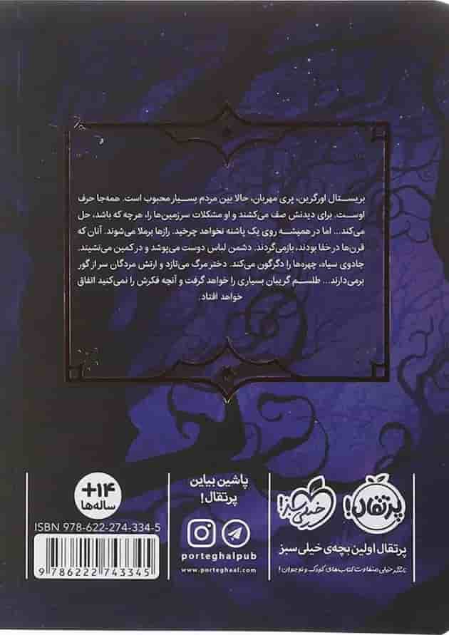 کتاب انجمن مخوف مجموعه جادوهای همیشگی جلد 2 پشت جلد