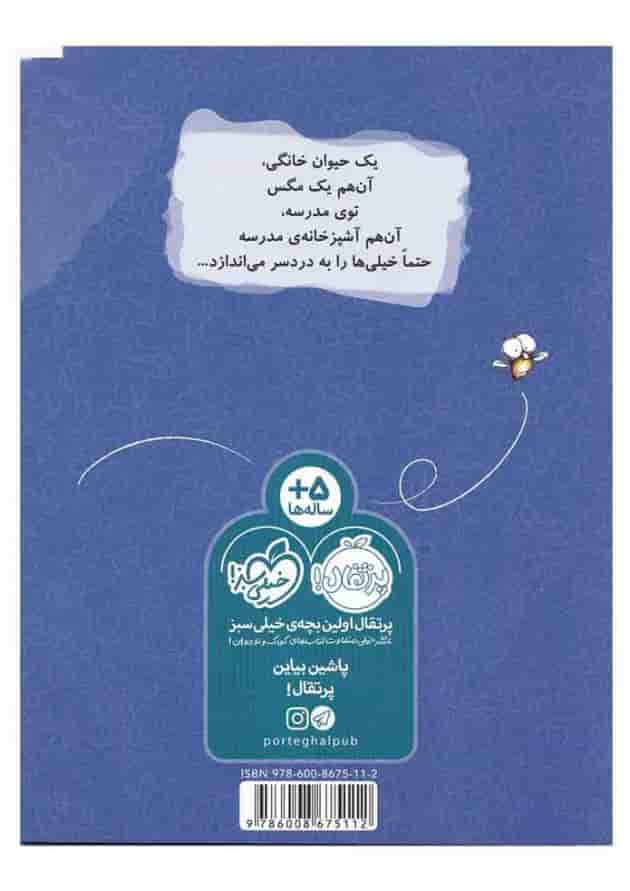 کتاب ویزگول قهرمان مجموعه مگسک و پسرک پشت جلد