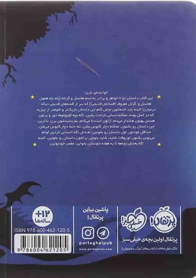 کتاب افسانه ای تاریک و شوم مجموعه دوباره با برادران گریم پشت جلد