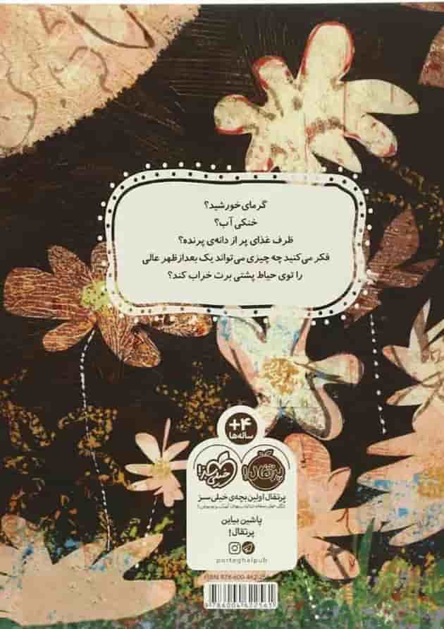 کتاب ماجرای یک روز آفتابی پشت جلد