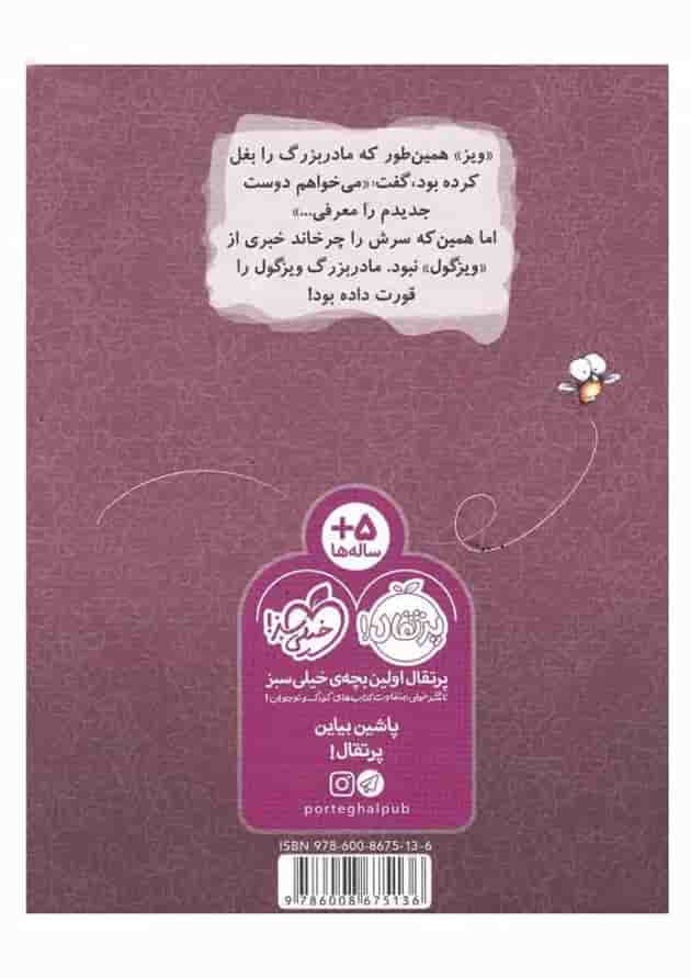 کتاب ویزگول خورده می شود مجموعه مگسک و پسرک پشت جلد