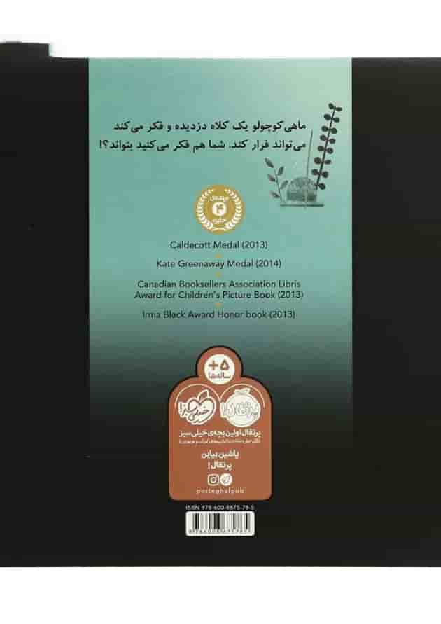 کتاب هیچ کس پیدایم نمی کند مجموعه سه کتاب سه کلاه پشت جلد