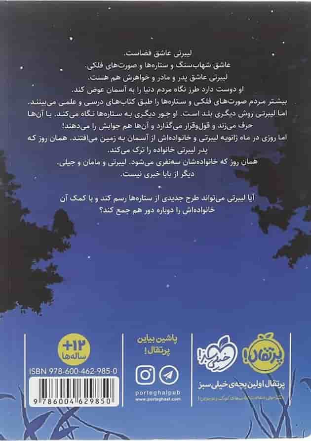 کتاب سالی که از آسمان افتادیم پشت جلد