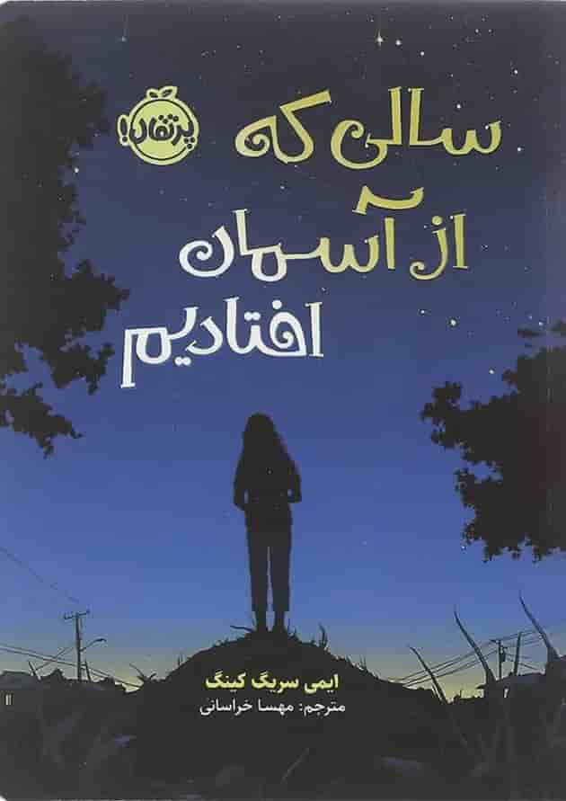 کتاب سالی که از آسمان افتادیم جلد