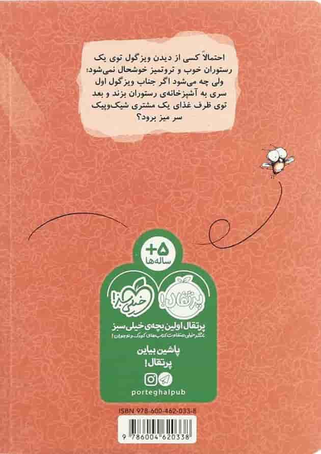 کتاب سوپ با طعم ویزگول مجموعه مگسک و پسرک پشت جلد