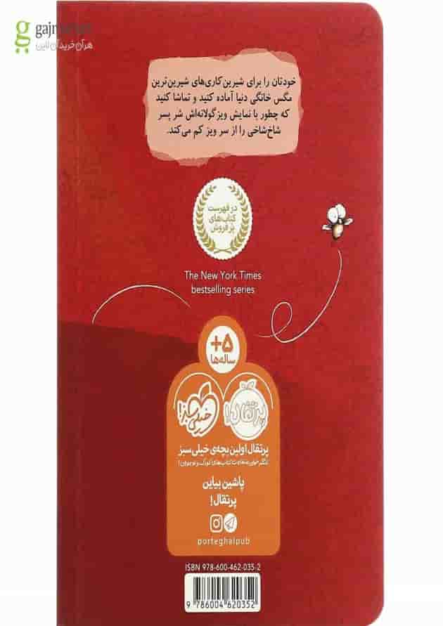 کتاب سیرک خانگی ویزگول مجموعه مگسک و پسرک پشت جلد