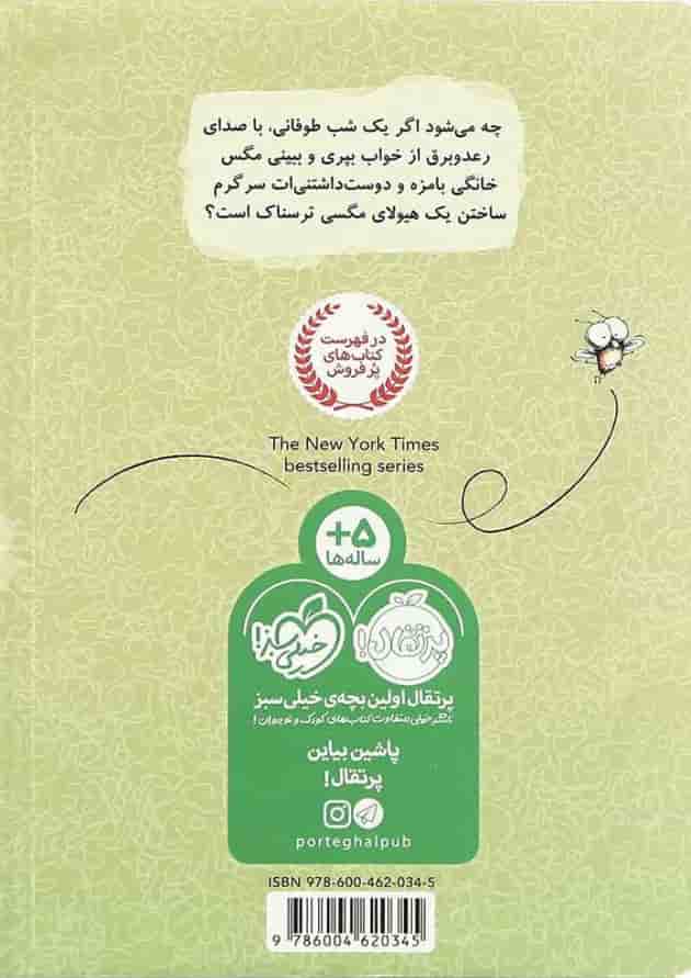 کتاب ویزگول و ویزغول مجموعه مگسک و پسرک پشت جلد