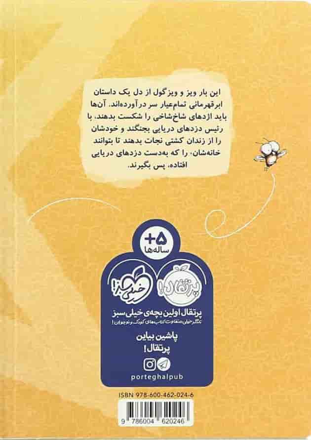 کتاب ویزگول و ویز قهرمان های ریز مجموعه مگسک و پسرک پشت جلد