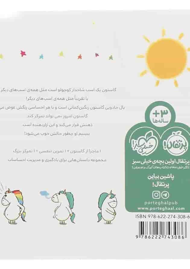 کتاب من گاستون حواس جمع هستم پشت جلد