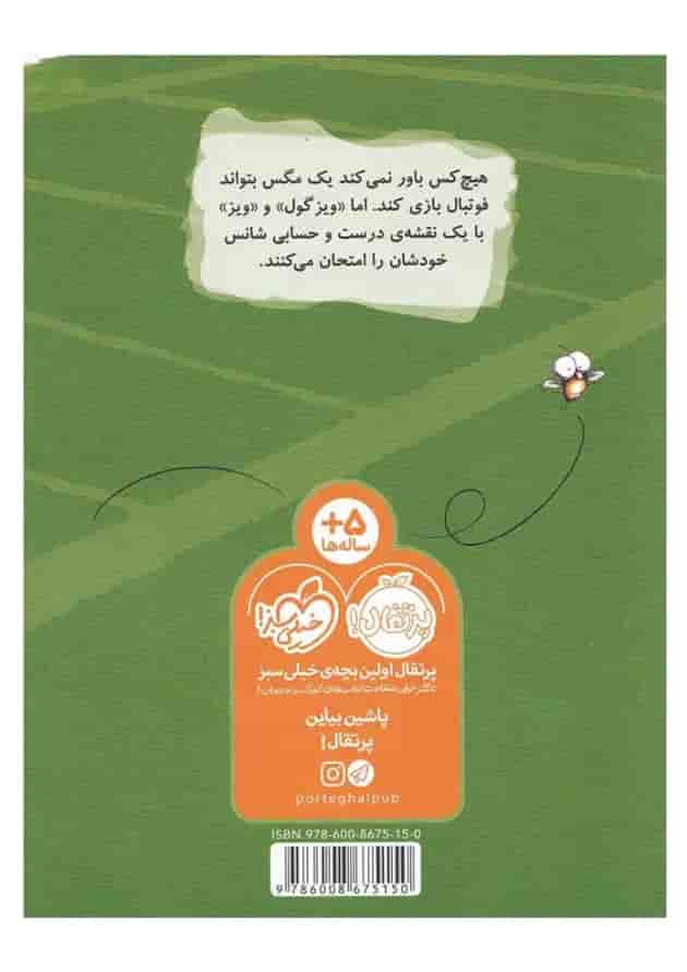 کتاب یک روز فوتبالی با ویزگول مجموعه مگسک و پسرک پشت جلد