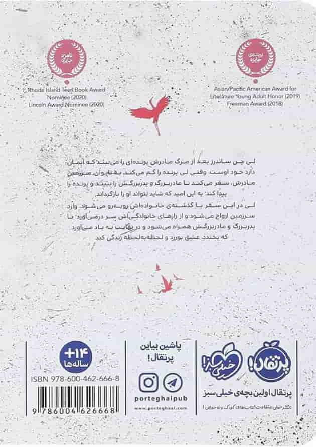 کتاب رنگ شگفت انگیز روح پشت جلد