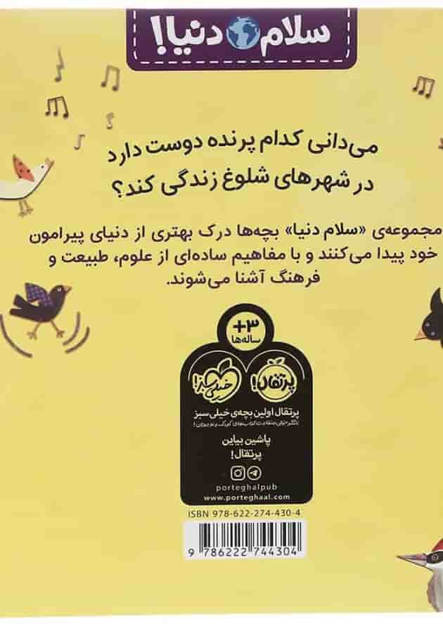 کتاب پرنده ها مجموعه سلام دنیا پشت جلد