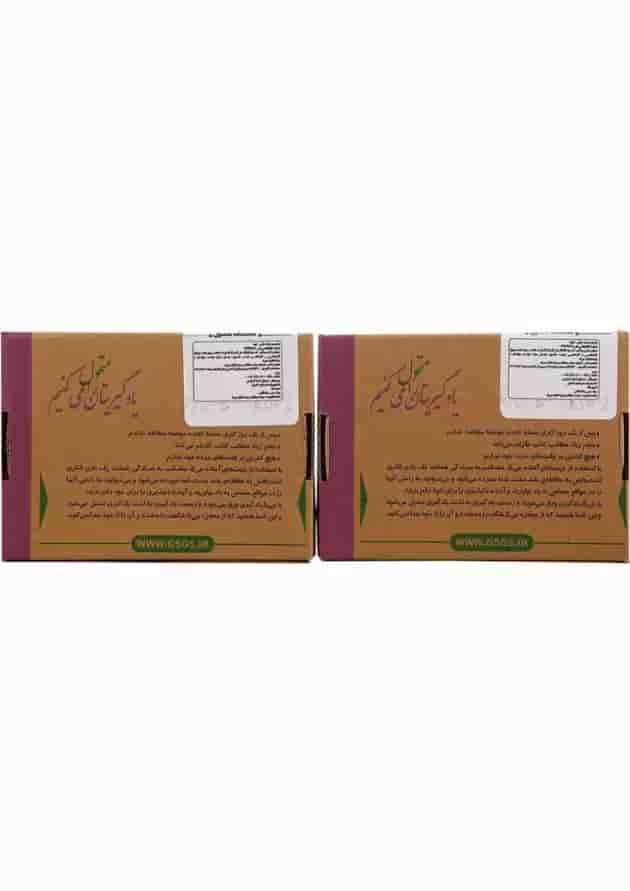 جی برگ اصول فقه بخش دوم 