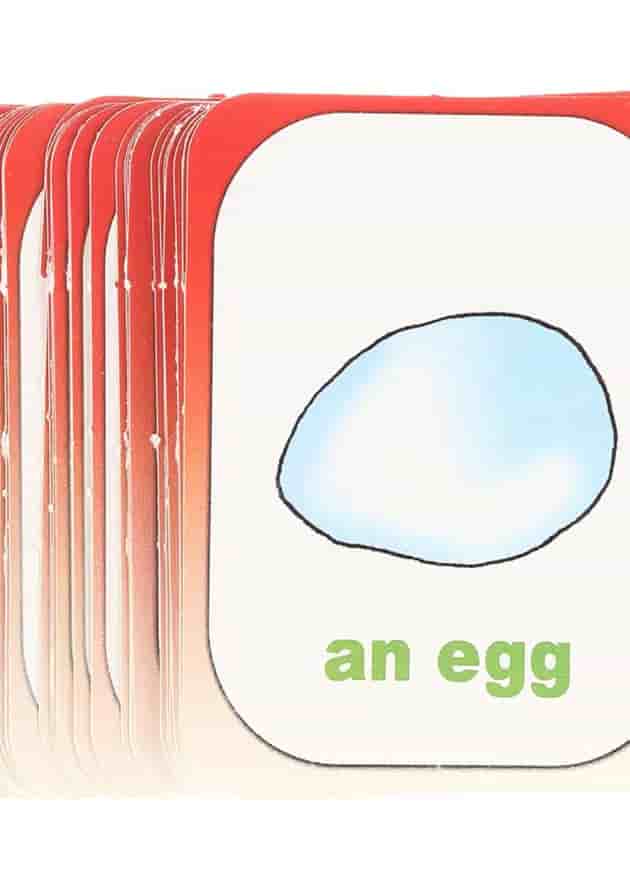 Tiny Talk 2B Flashcards 