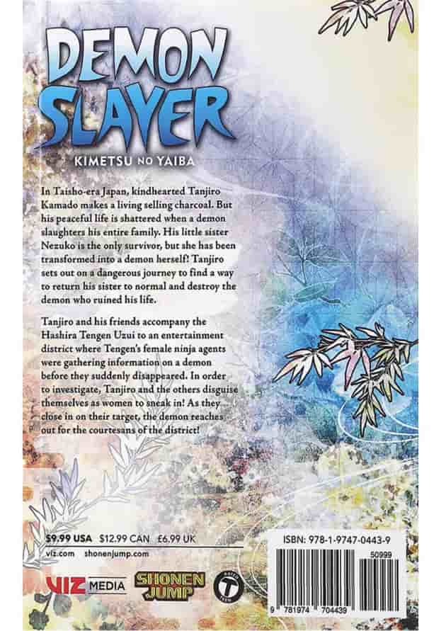 Demon Slayer 9 Manga 
