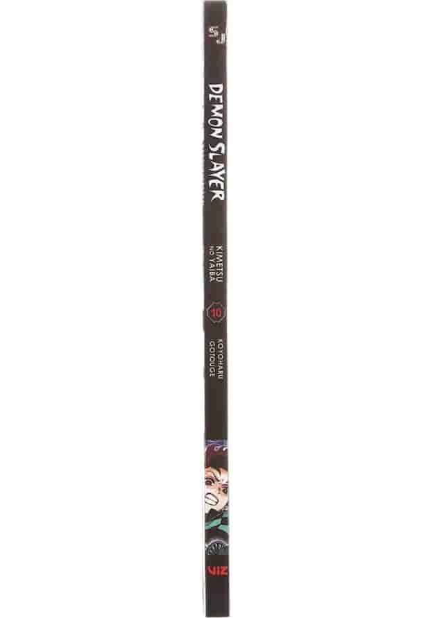 Demon Slayer 10 Manga 