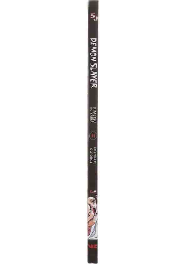 Demon Slayer 11 Manga 