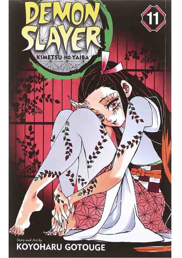 Demon Slayer 11 Manga 