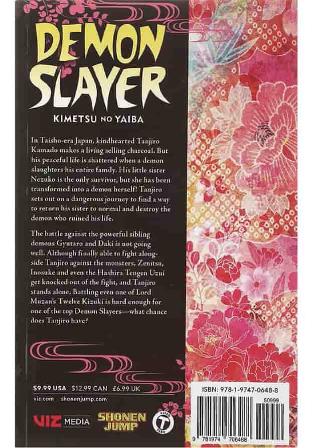 Demon Slayer 11 Manga 