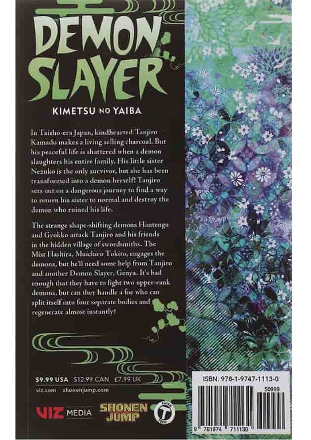 Demon Slayer 13 Manga 