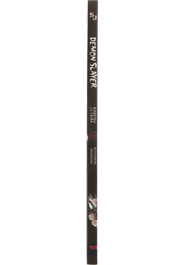 Demon Slayer 13 Manga 