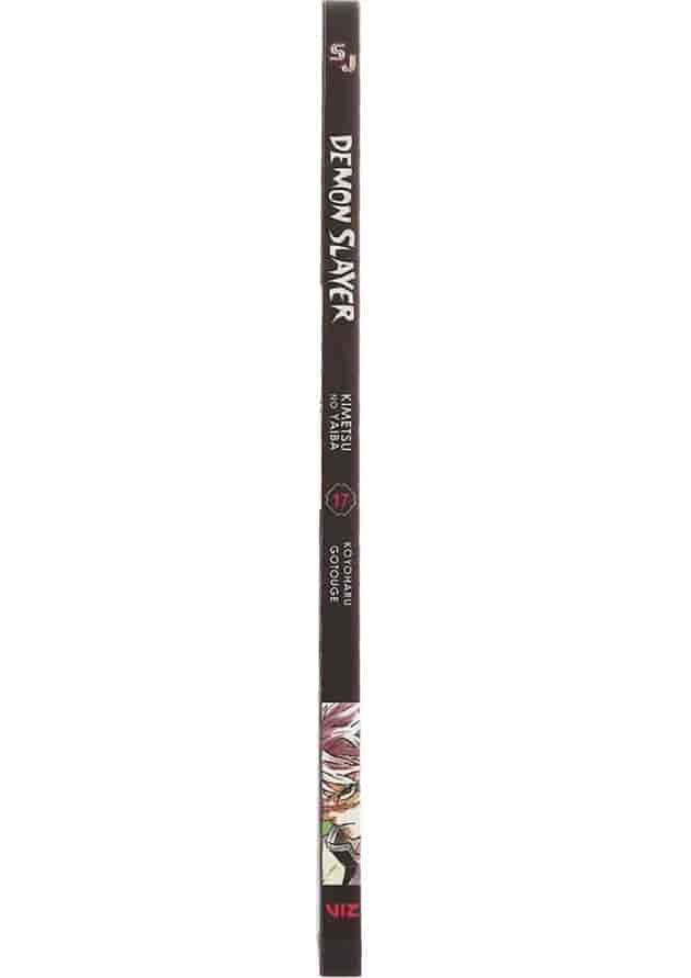 Demon Slayer 17 Manga 