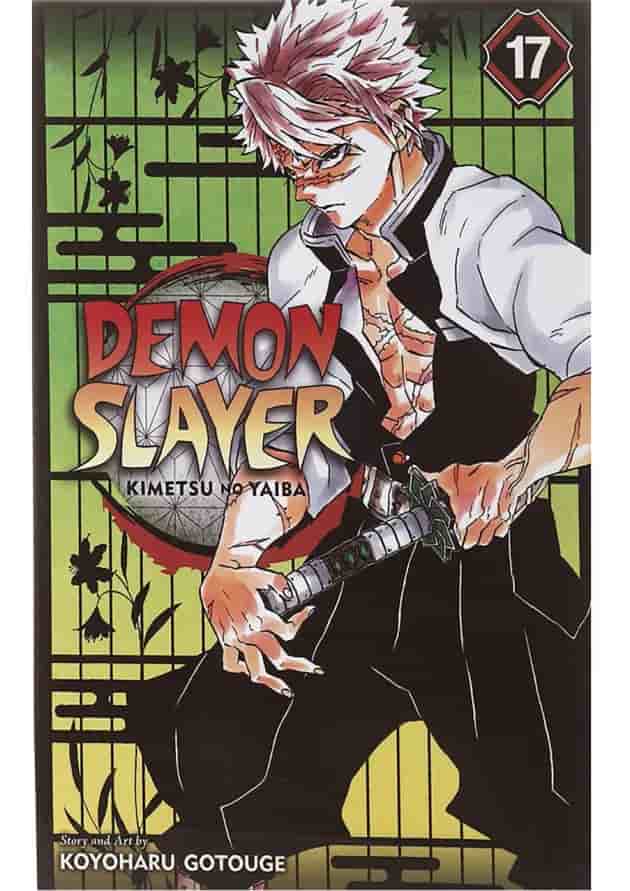 Demon Slayer 17 Manga 