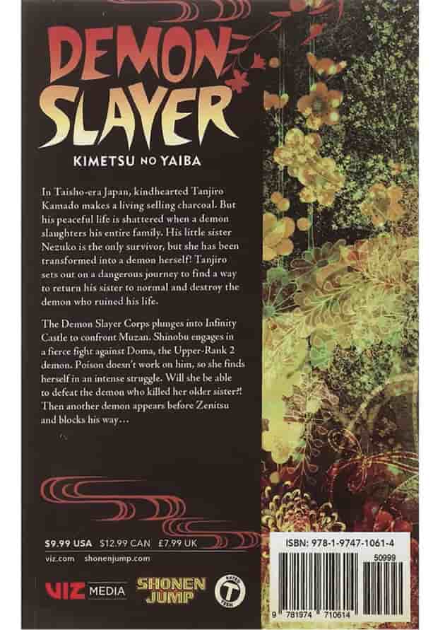 Demon Slayer 17 Manga 