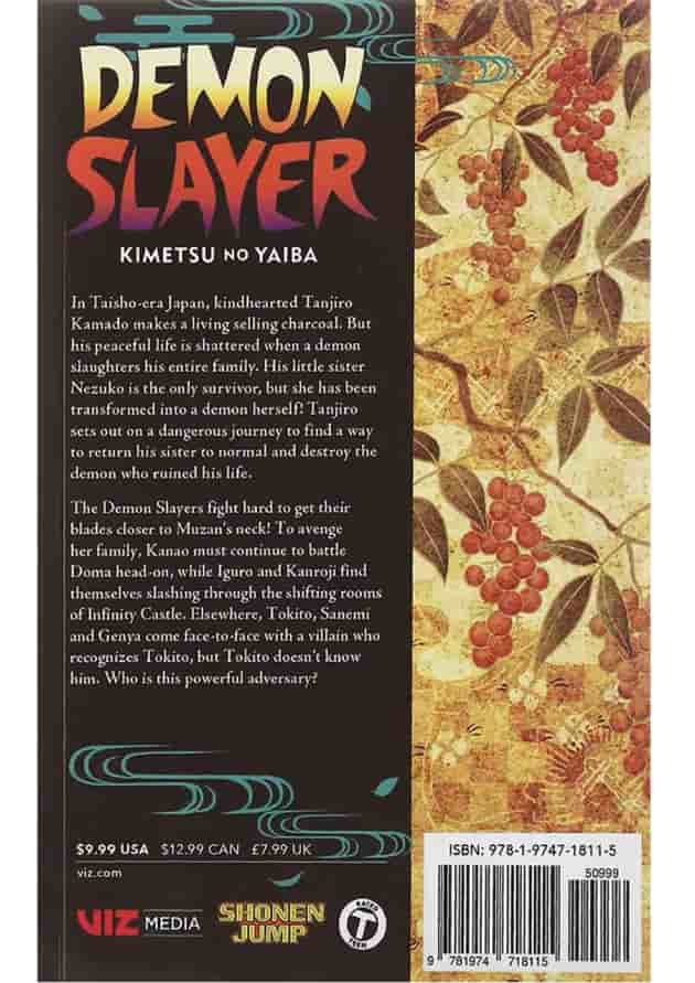 Demon Slayer 19 Manga 