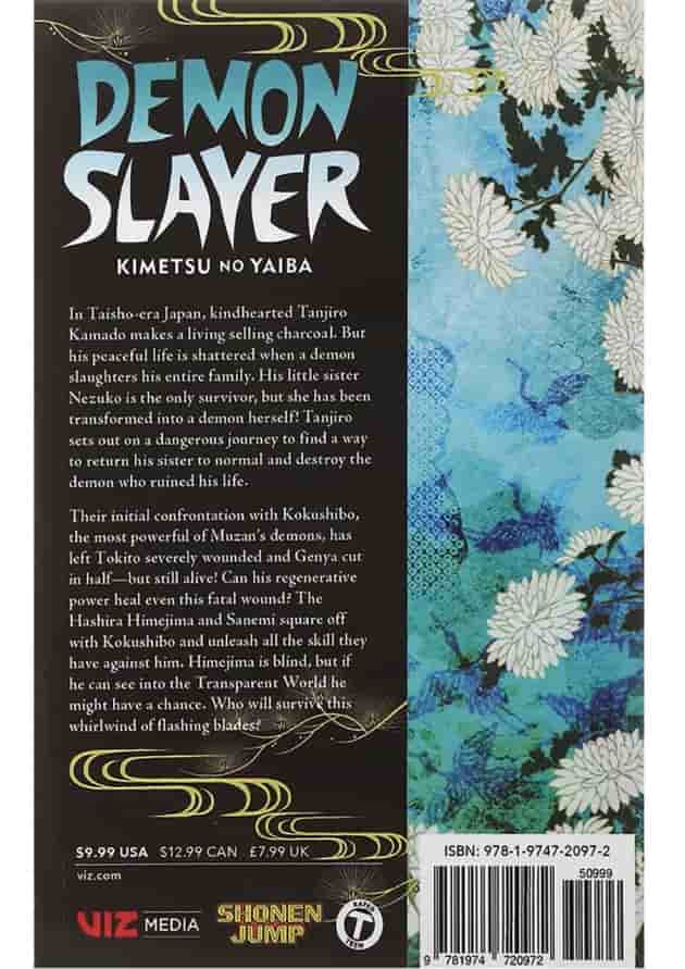 Demon Slayer 20 Manga 