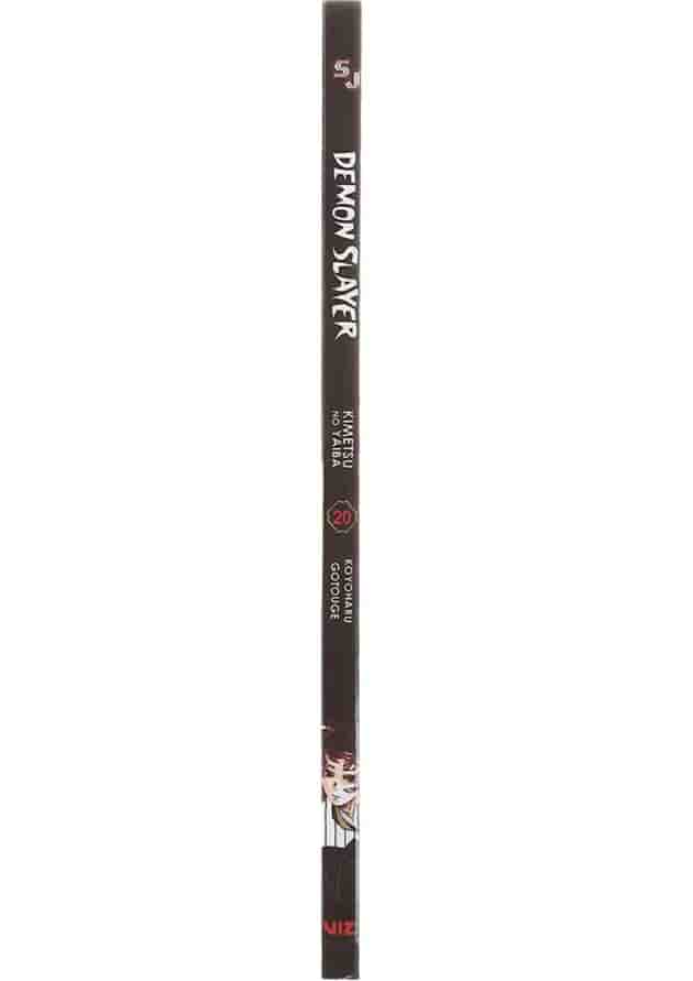 Demon Slayer 20 Manga 