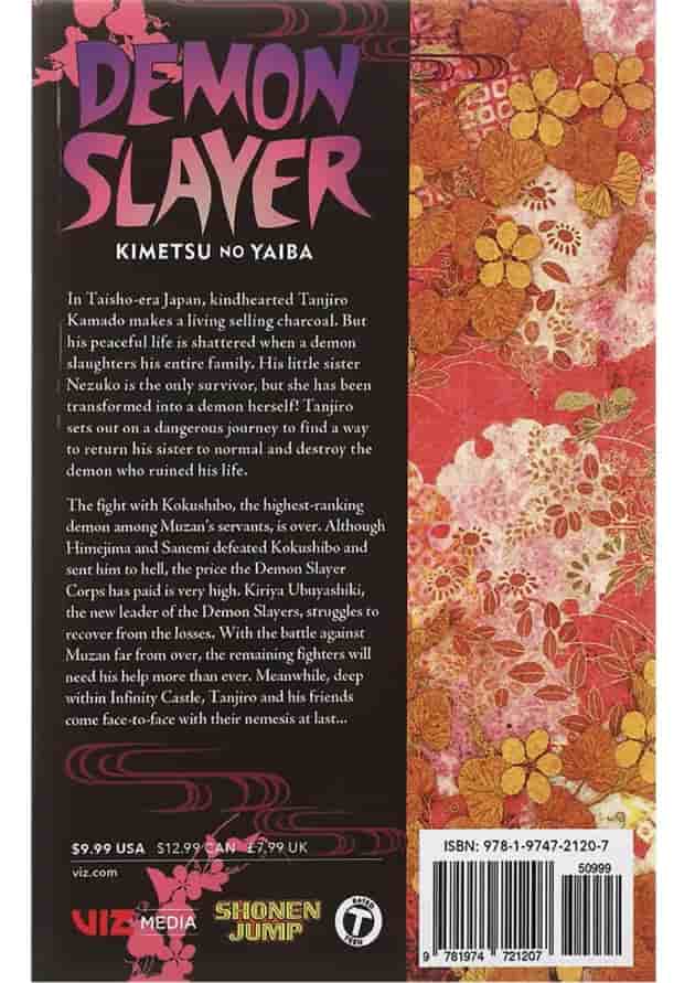 Demon Slayer 21 Manga 