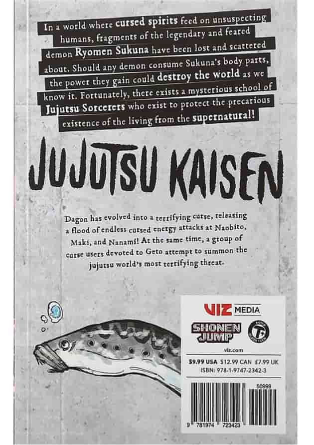 Jujutsu Kaisen 13 Manga 