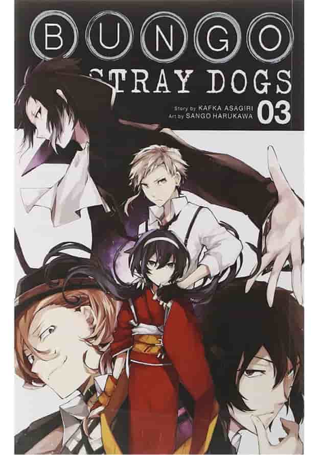 Bungo Stray Dogs 3 Manga 