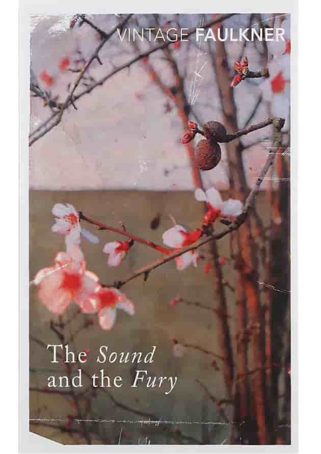 کتاب Sound and the Fury کتاب Sound and the Fury