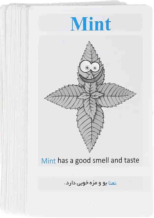 فلش کارت سبزیجات 
