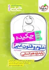 جیبی چکیده علوم و فنون ادبی 2 یازدهم خیلی سبز 