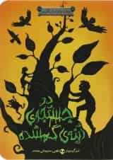 کتاب در جستجوی آینه گمشده مجموعه دوباره با برادران گریم